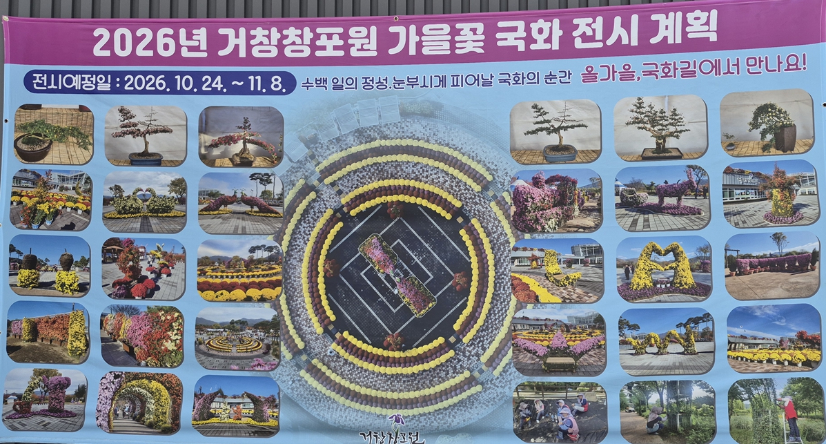 거창 창포원 국화 축제 안내