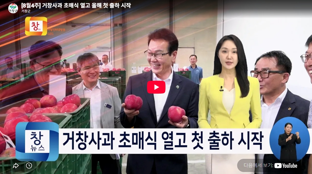  거창사과 초매식 열고 올해 첫 출하 시작