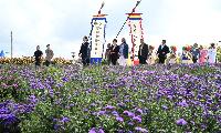 거창군, 제6회 감악산 꽃별여행 개장식 개최